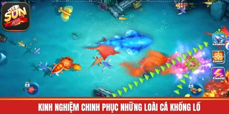 Kinh nghiệm chinh phục những loài cá khổng lồ